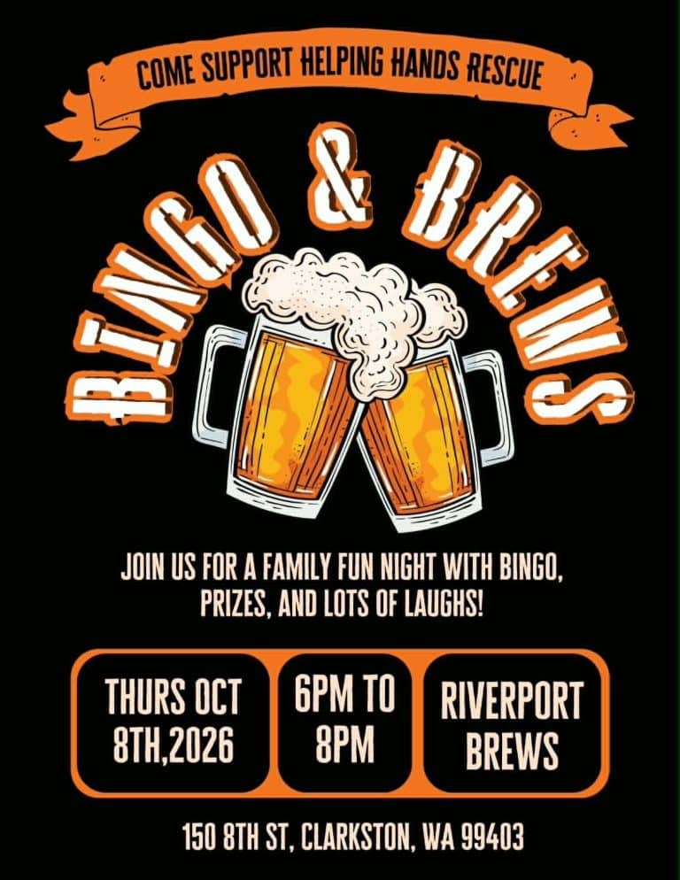 Helping Hands Rescue Bingo & Brews event flyer
